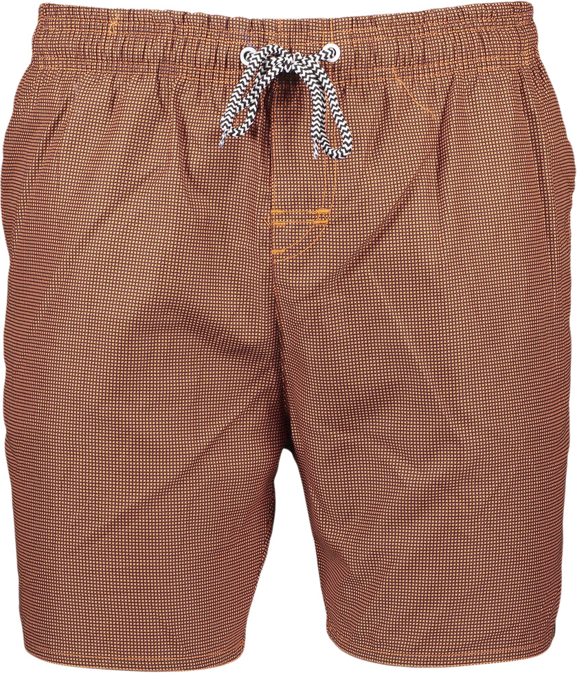 Lake Badeshorts